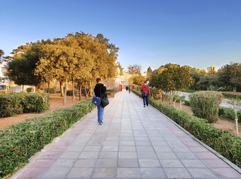 The walkway named after Tessie Camilleri, the first female graduate of the University of Malta. All images courtesy of the University of Malta.