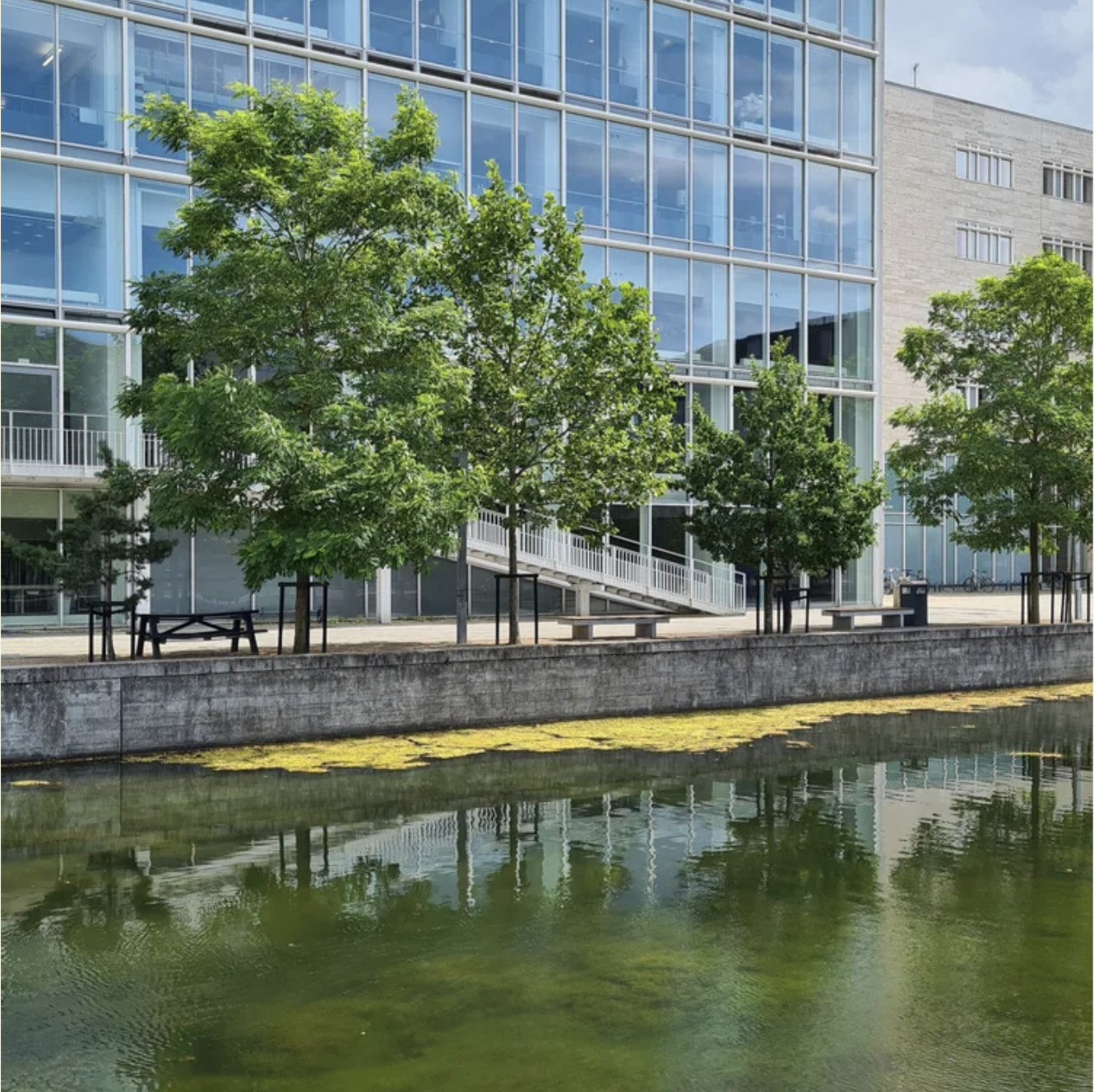 A view of the University of Copenhagen, featuring a pond that enhances the building's elegant facade.