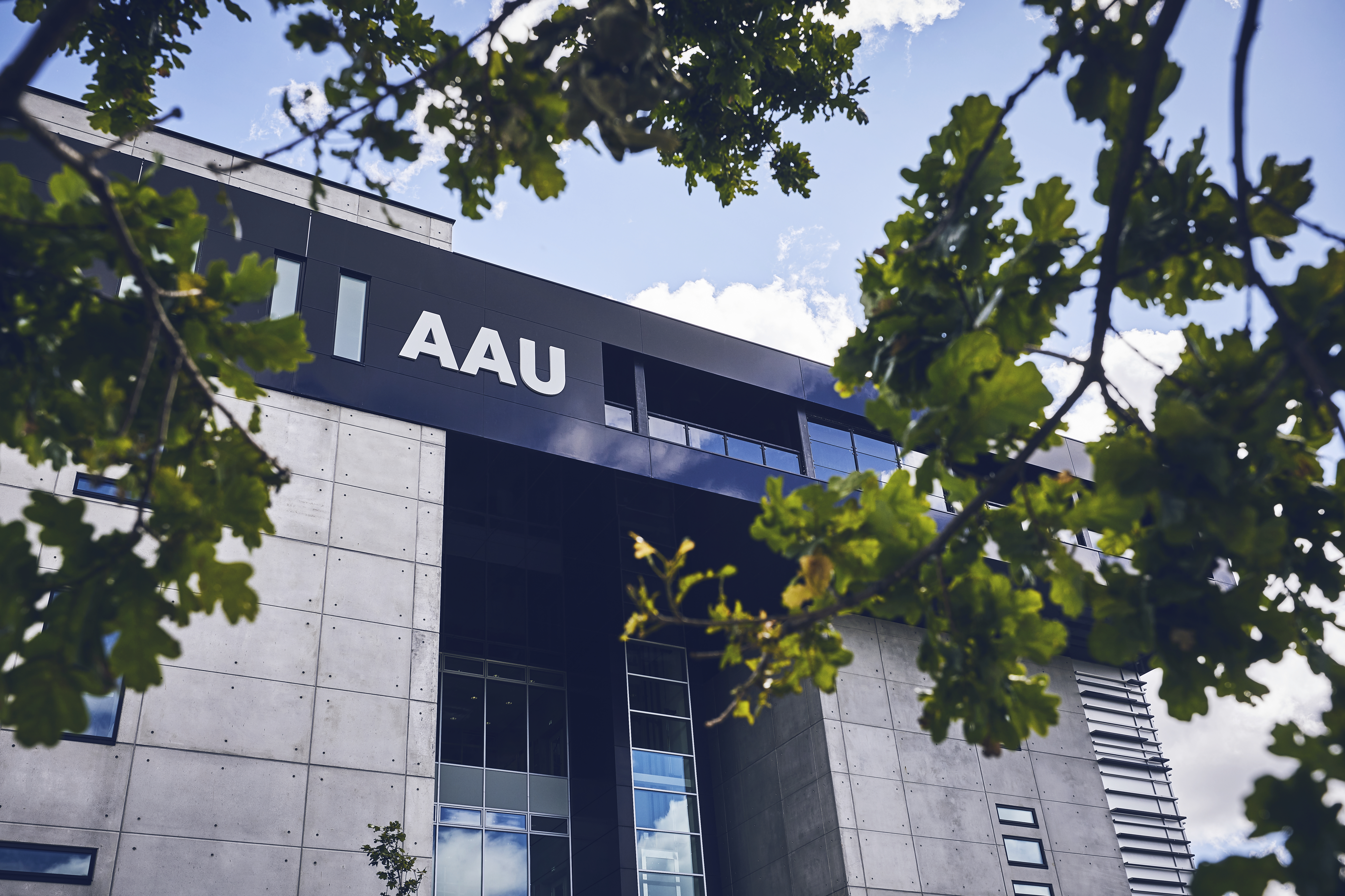 Aalborg University transitioned to WISEflow Originality in just 6 weeks